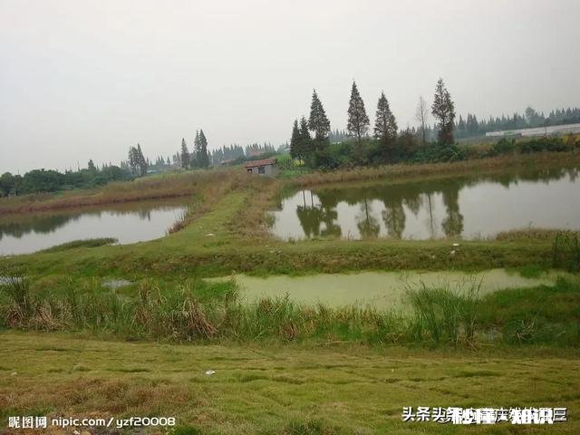 竞标农村土地整改工程有风险吗