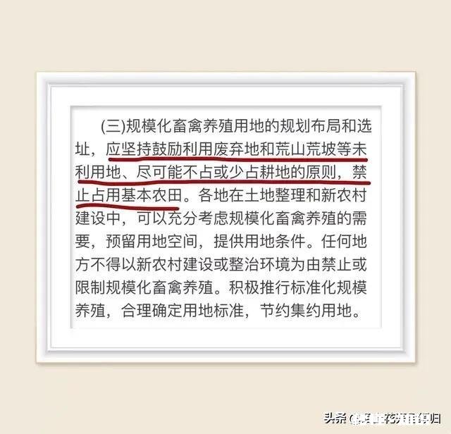 现在百姓能申请在耕地建养殖场吗