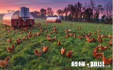 家乡很多农产品，想做农村电商，需要什么资质，农产品如何入手