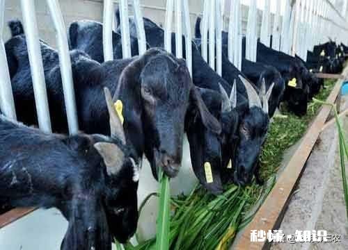 家乡很多农产品，想做农村电商，需要什么资质，农产品如何入手