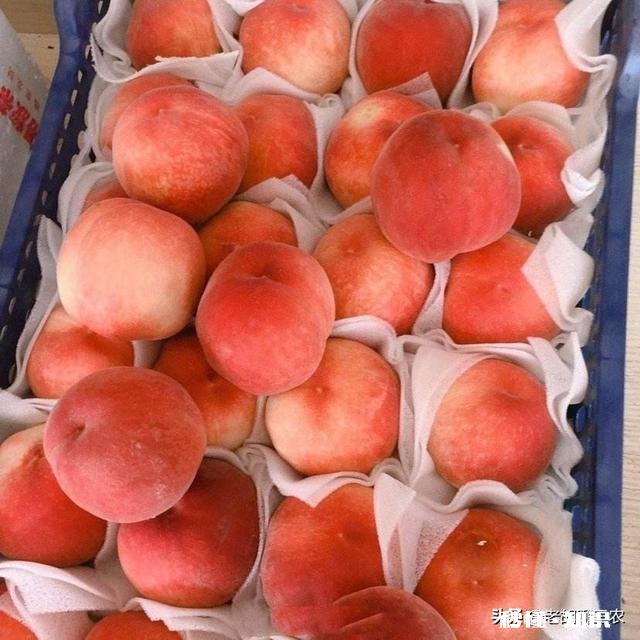 家乡很多农产品，想做农村电商，需要什么资质，农产品如何入手