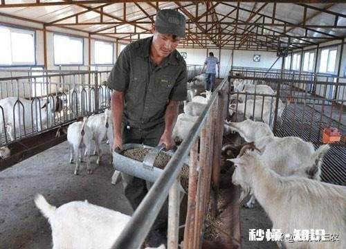 家乡很多农产品，想做农村电商，需要什么资质，农产品如何入手