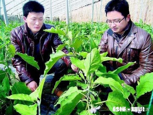 家乡很多农产品，想做农村电商，需要什么资质，农产品如何入手