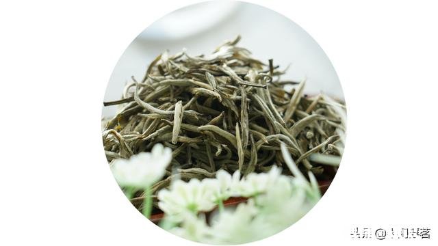 茉莉花茶原产地在什么地方