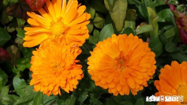 我有听力问题,带助听器勉强能和人交流,但我很在意别人眼光,感觉好累,我该怎么克服