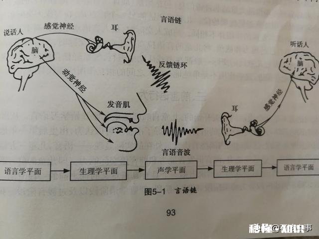 孩子语言迟缓是怎么回事