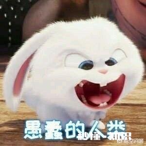 哪个动漫人物曾让你痴迷到心醉