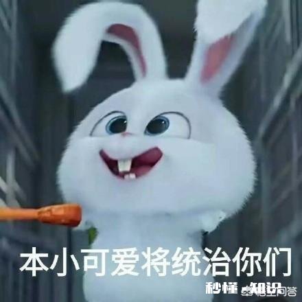 哪个动漫人物曾让你痴迷到心醉