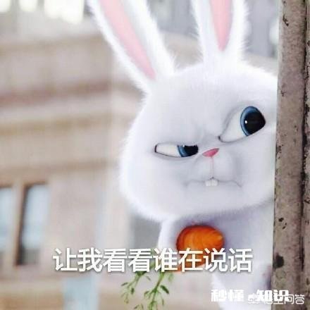 哪个动漫人物曾让你痴迷到心醉