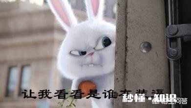 哪个动漫人物曾让你痴迷到心醉