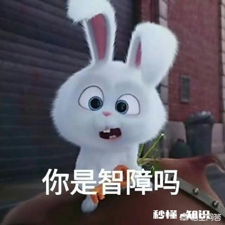 哪个动漫人物曾让你痴迷到心醉