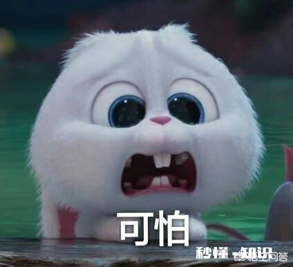 哪个动漫人物曾让你痴迷到心醉