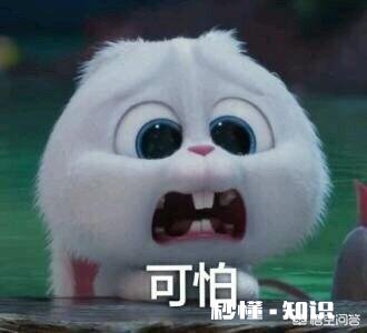 哪个动漫人物曾让你痴迷到心醉