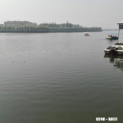 我和男友分手了，可是感觉心里还是放不下怎么办