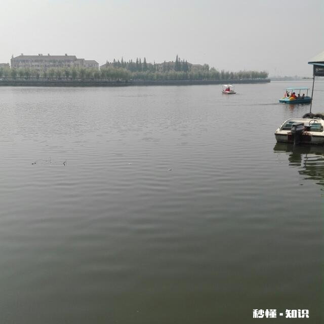 我和男友分手了，可是感觉心里还是放不下怎么办