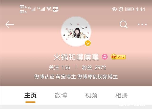 大四毕业生，延期毕业，前途迷茫，怎么办