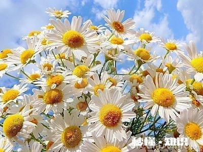 你从什么时候起开始变得害怕先付出亲情，爱情，友情等全算在内