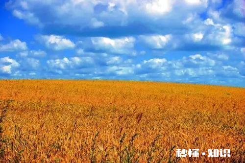 你从什么时候起开始变得害怕先付出亲情，爱情，友情等全算在内