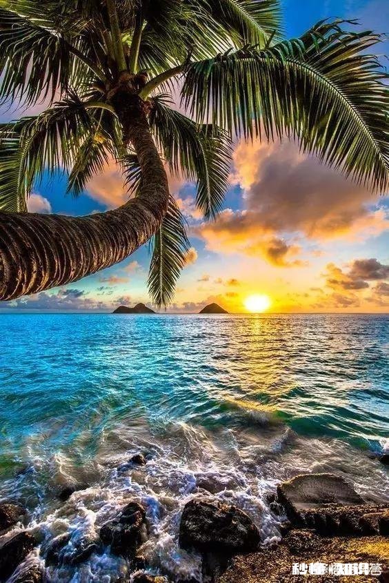 好朋友半夜被家暴，但她有一儿一女，该不该原谅她的老公