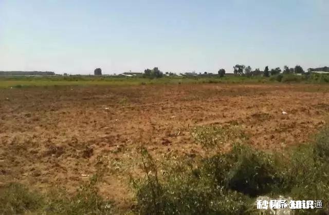 土地确权后,荒地归村集体,是否应当给原开发者一些补偿