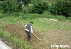 土地确权后，荒地归村集体，是否应当给原开发者一些补偿