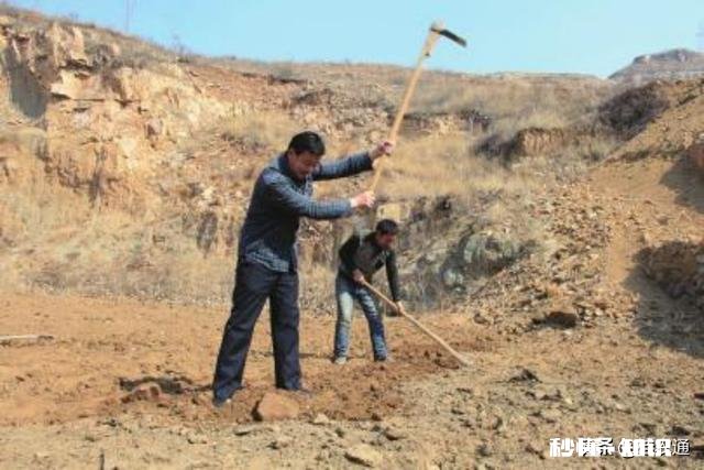 土地确权后,荒地归村集体,是否应当给原开发者一些补偿