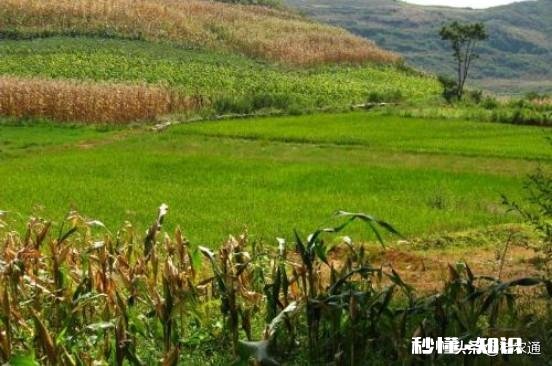 土地确权后,荒地归村集体,是否应当给原开发者一些补偿