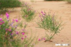 总是回忆过去错了吗