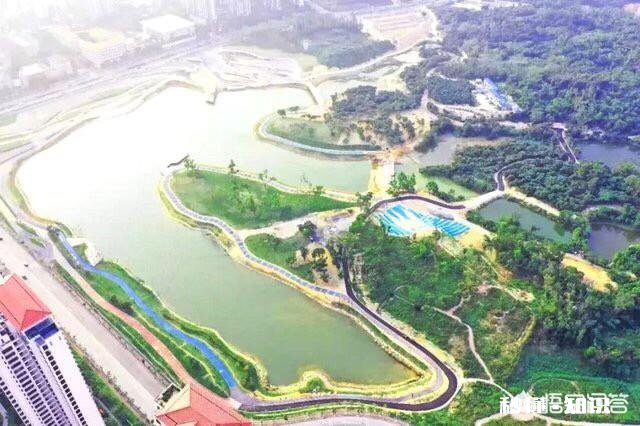 怎么过年才能更充实更有意义