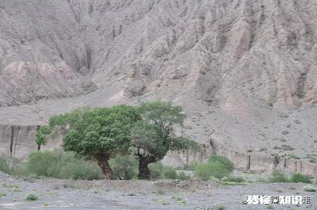 你自驾游最远到哪里有好的风景照分享吗