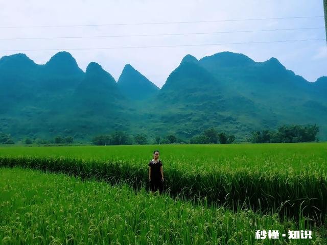 你自驾游最远到哪里有好的风景照分享吗