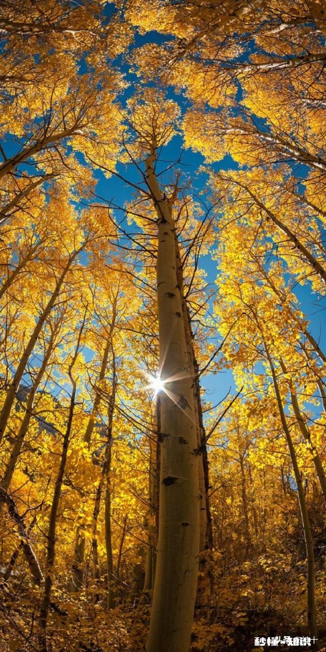 男朋友国庆想去我家见我父母,我很自卑,怎么拒绝