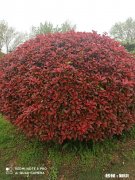 你的老公看起来是你的，但是永远是他自己的，你怎么理解这句话