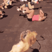 那些喜欢模仿别人的人是什么心理