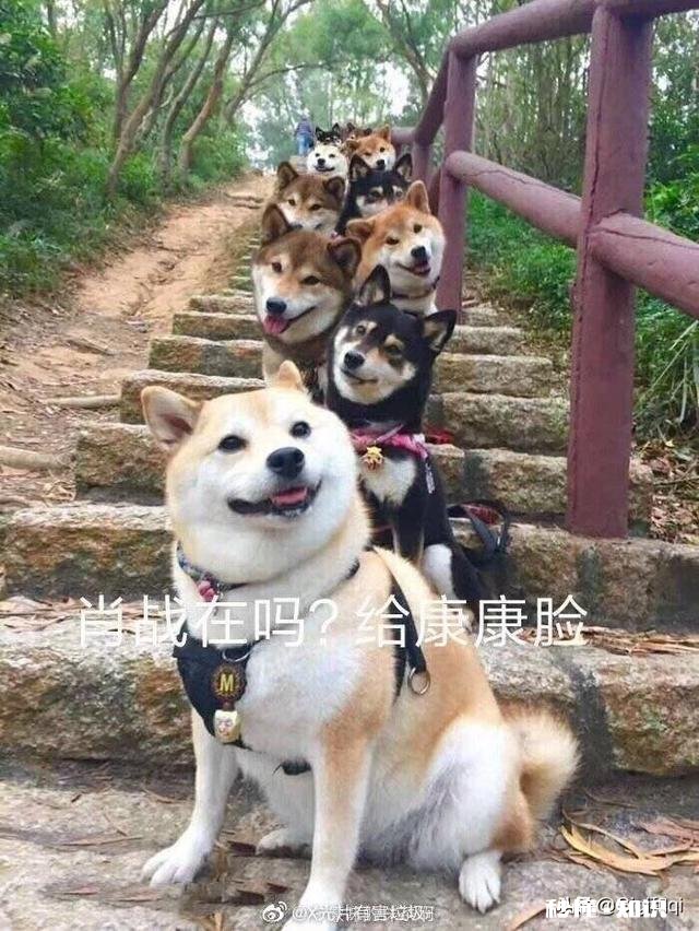 大家对肖战路透出来要上《时尚先生》的通稿怎么看