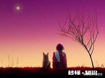 怎么理解苦尽甘来一词，这到底是不是一个为了撑住而创造的梦