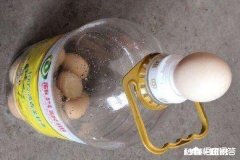 瓶子鸡蛋是怎么装进去的
