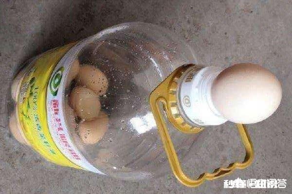 瓶子鸡蛋是怎么装进去的