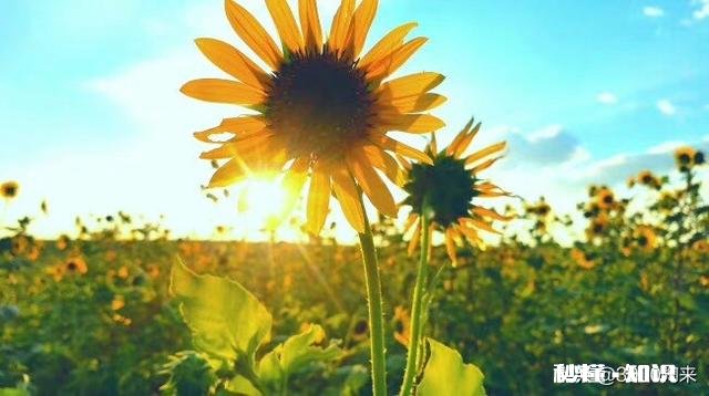 请问老婆因为生活的陈年旧事，要离婚，怎么办