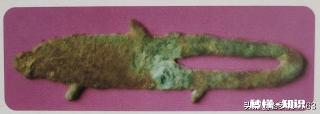 这枚青铜鱼算不算钱币，价值几何