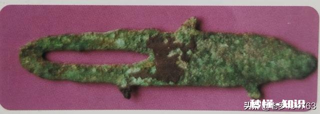 这枚青铜鱼算不算钱币，价值几何