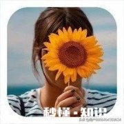 疫情过后，武汉什么行业会最赚钱