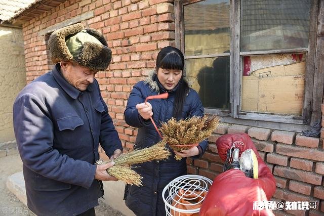 农村盖个房子好,还是城镇买个房子好