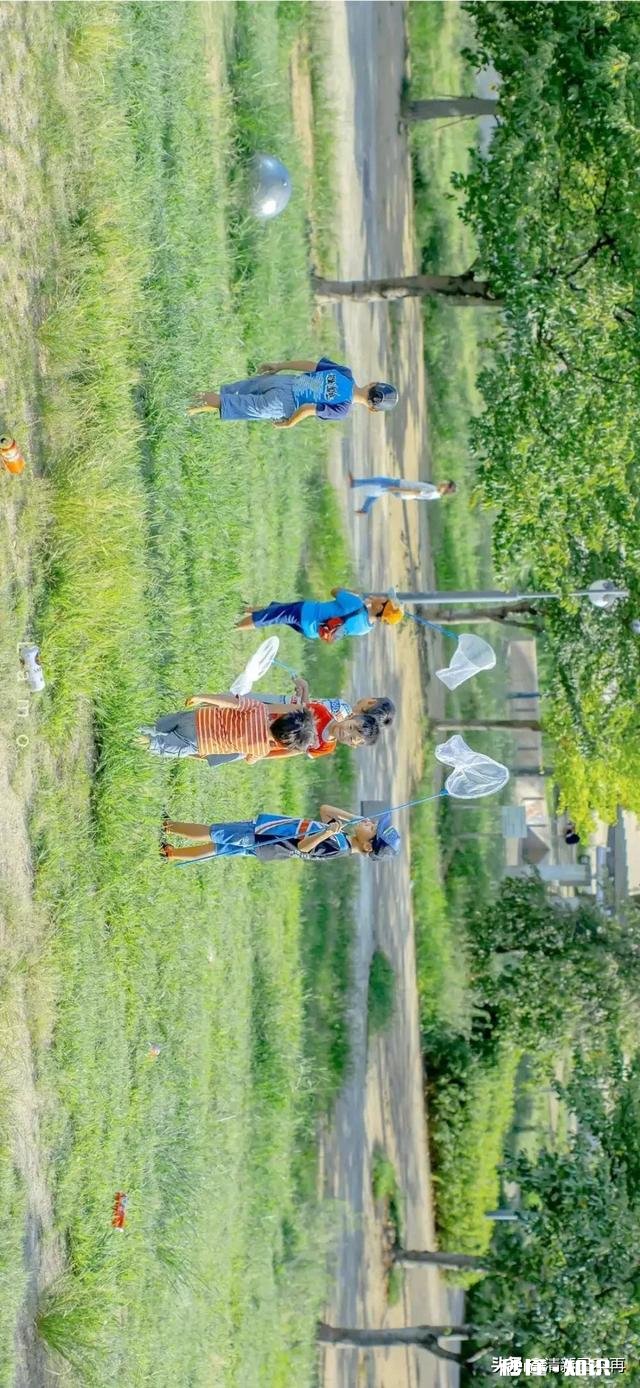 请问各位是如何与抑郁症相处的