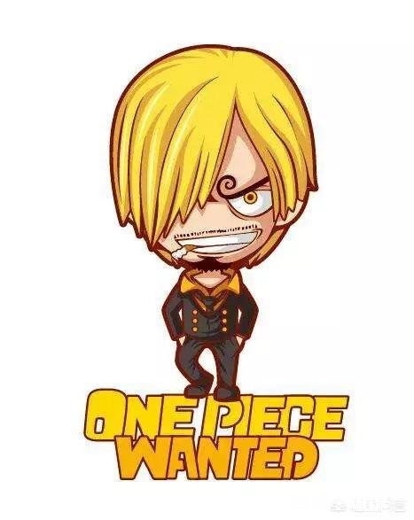 《海贼王》中身为草帽团的三大主力之一的山治两年后为什么只学会了月步