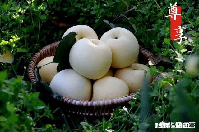 今日头条帮你解决了现实生活中的什么问题吗