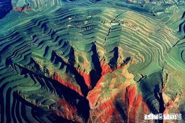 今日头条帮你解决了现实生活中的什么问题吗