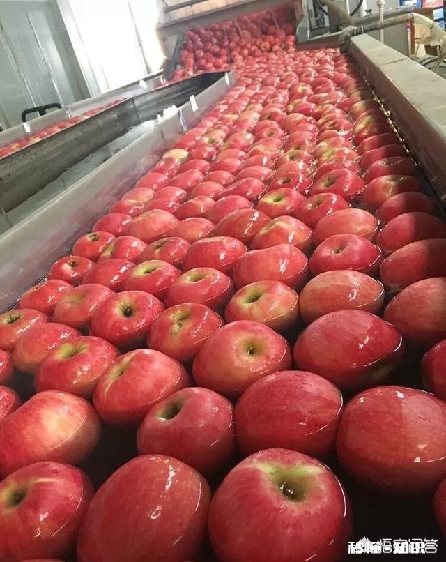 今日头条帮你解决了现实生活中的什么问题吗