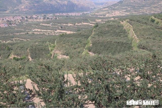 今日头条帮你解决了现实生活中的什么问题吗