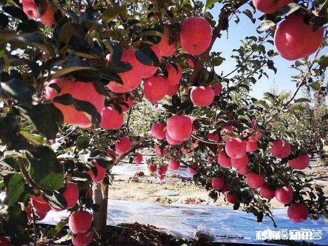 今日头条帮你解决了现实生活中的什么问题吗